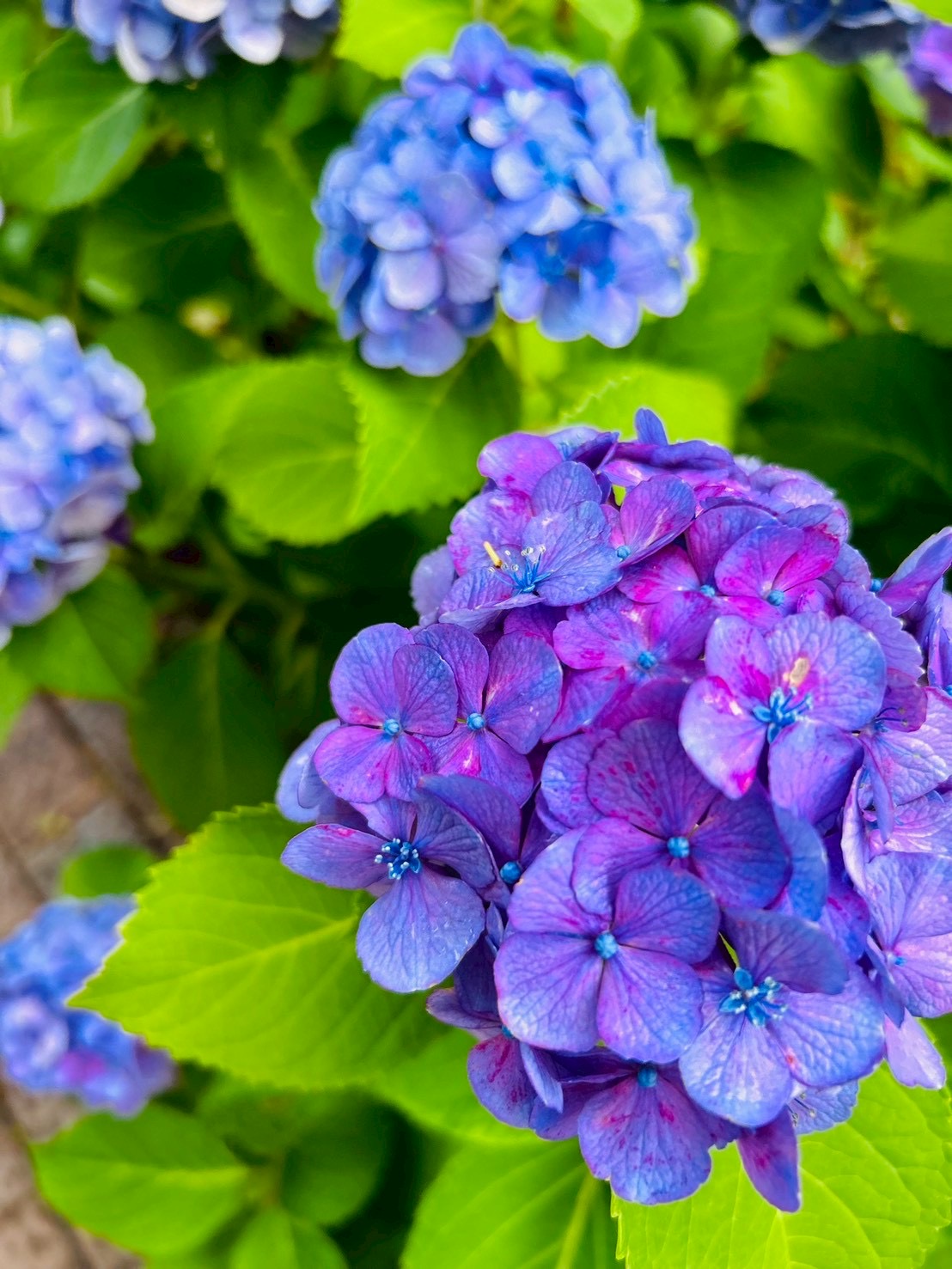 734E2C76-9B1A-4334-A50B-088DD9A6B516